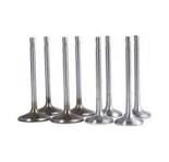 VW GOLF (1H1) 93-97/ PASSAT (3A2) 93-96/ AUDI A4 (8D2) 05-00/ A6 (4A2) 94-97 1.9 TDI (1Z-AFF-AFN)SUBAP VALFI EMME (36x8x96,9mm) 5LI SET