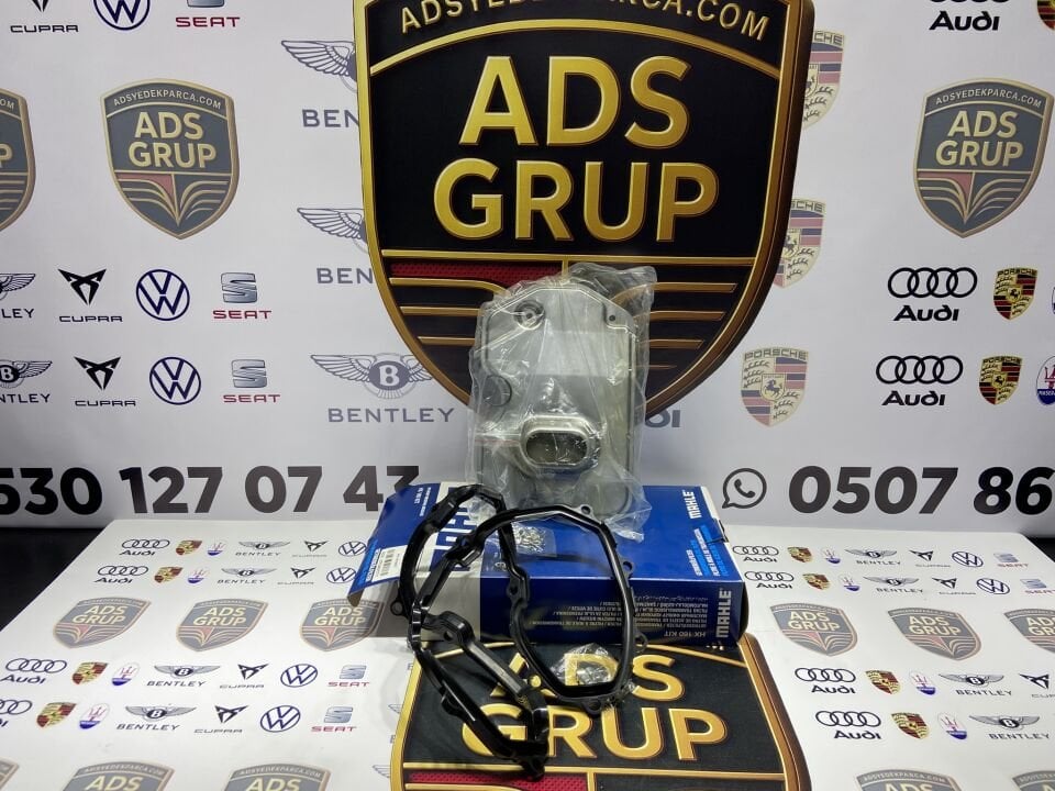 Cayenne Touareg Şanzıman Yağ Filtresi 09D325429