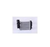 AUDI A6 (4F2) 2.7 - 3.0 TDI 04-11TURBO RADYATORU (INTERCOOLER) 205X203X62